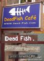 DeadFish Cafe